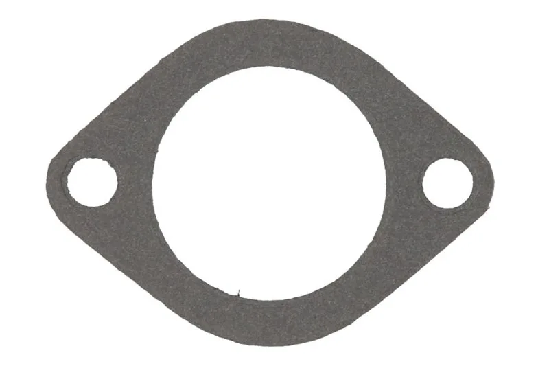 Garnitura, carcasa termostat