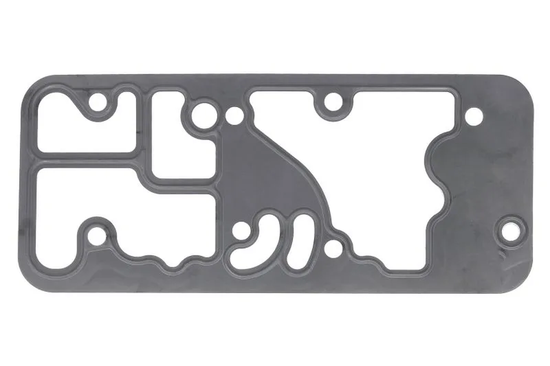 149995 Set reparatie, diferential CARRARO