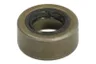 234650-DS Garnitura, diferential DANA SPICER