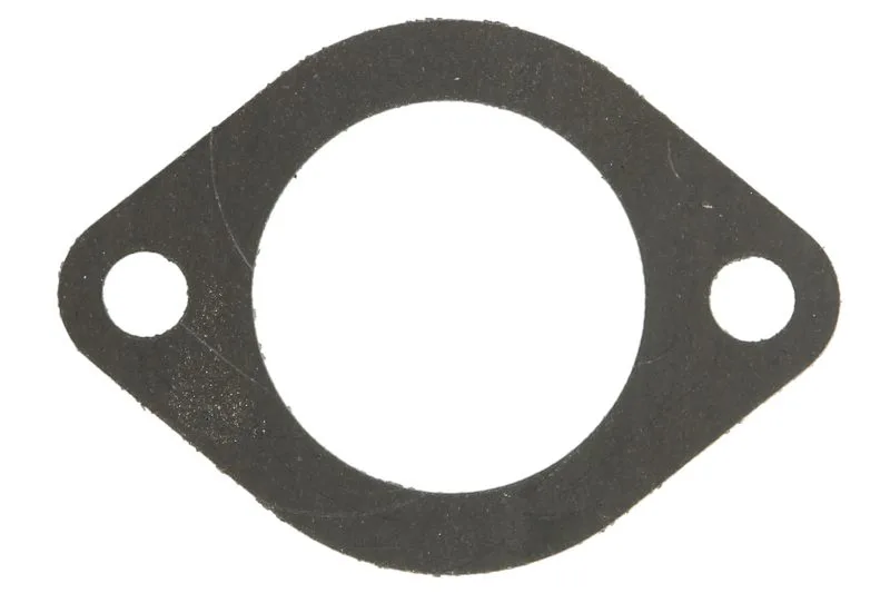 ENT010884 Garnitura termostat ENGITECH