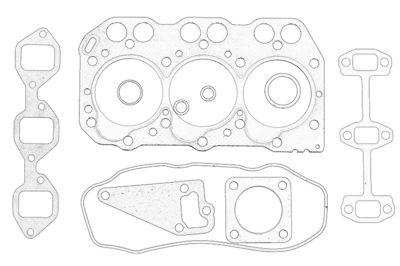 Set garnituri complet, motor
