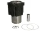 Set raparatii, piston/bucsa cursa cilindru