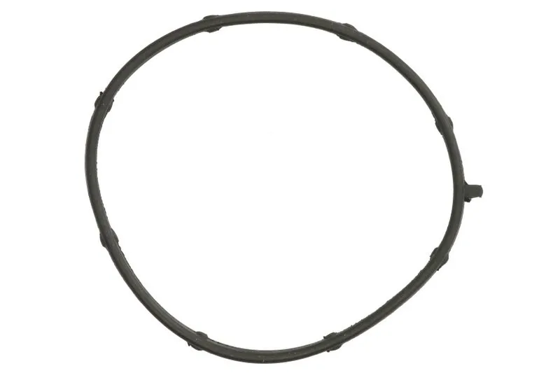 Garnitura, pompa de apa