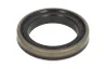 146668 Garnitura, diferential CARRARO