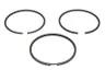 Set segmenti piston