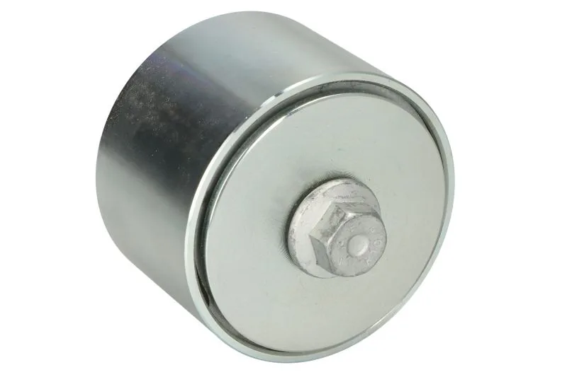 504078065 Rola intinzator,curea transmisie FPT