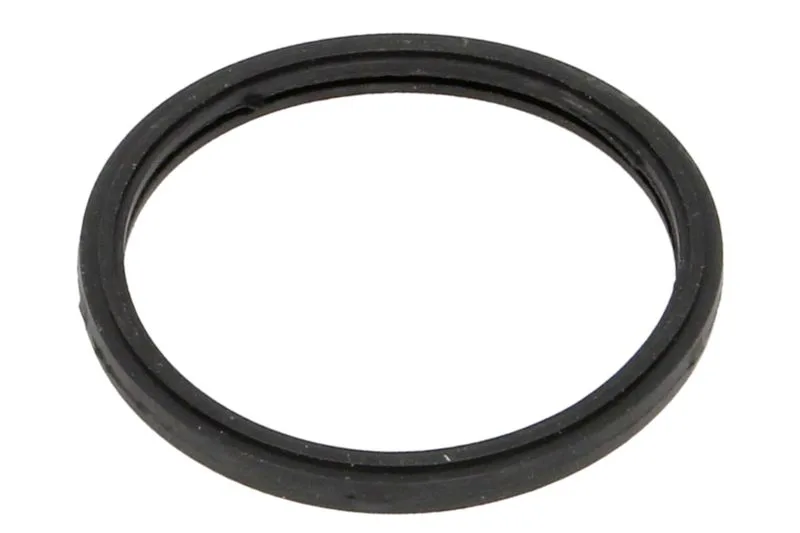 Garnitura, carcasa termostat