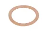 000.050147-DS Simering, diferential DANA SPICER