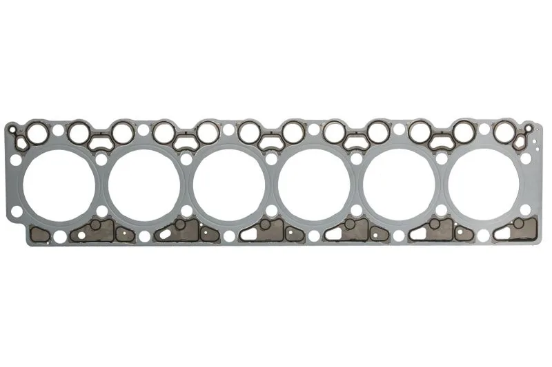 61-10308-00 Garnitura chiulasa REINZ