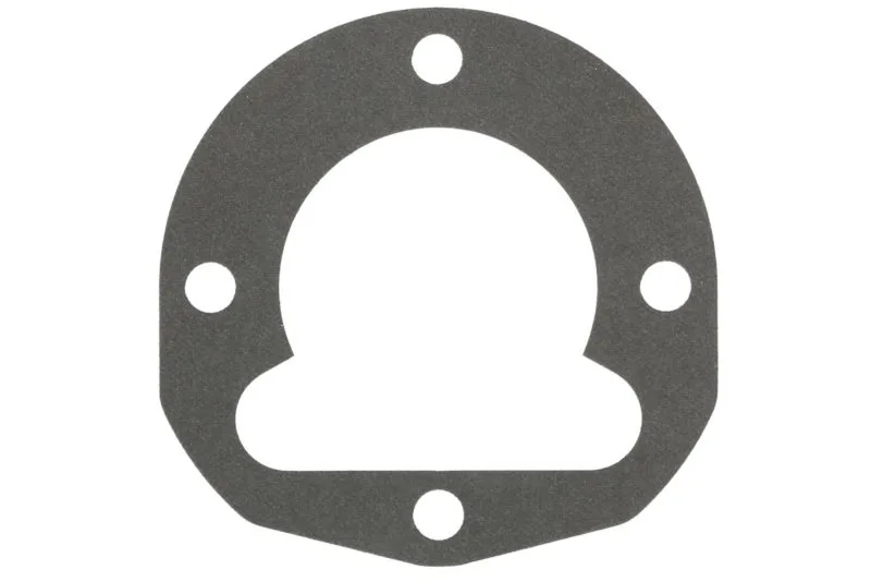 Garnitura bloc motor