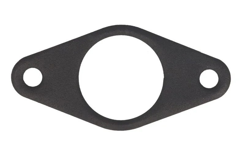 R125072 Garnitura, pompa de apa FP DIESEL