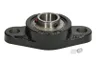 UCFL205 Rulment TIMKEN