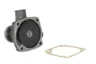 WP-DZ113 Pompa apa THERMOTEC