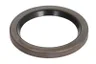 40000630 Simering, arbore cotit FPT