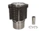 Set raparatii, piston/bucsa cursa cilindru