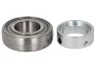 YET 206 Rulment SKF