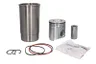 RE53073 Set raparatii, piston/bucsa cursa cilindru FP DIESEL
