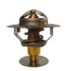 Termostat,lichid racire