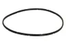 02-AG202 Capac protectie, pistonase etrier frana SBP