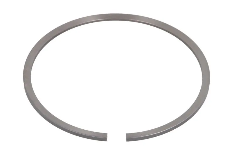 Segment piston