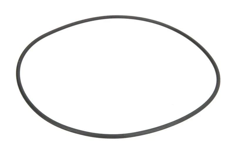 0634313719 Etansare ulei, transmisie manuala ZF