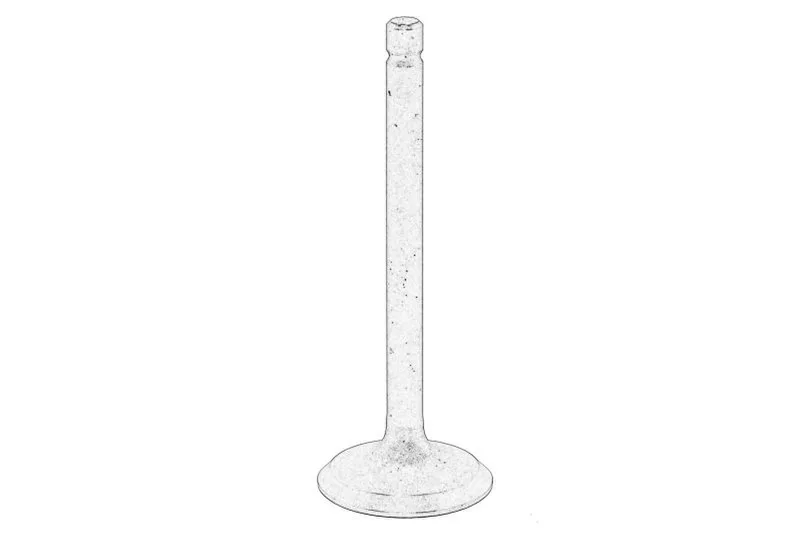 120166370 Supapa admisie OE PERKINS