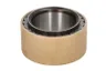 290.06.013.03-DS Set reparatie, diferential DANA SPICER