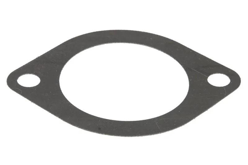 Garnitura termostat