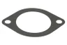 ENT010813 Garnitura termostat ENGITECH