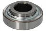 W208PP21-3L Rulment PFI