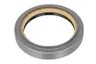 ENT020393 Simering, arbore cotit ENGITECH