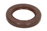 504127326 Simering, arbore cotit FPT