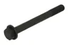 ENT005002 Surub chiulasa ENGITECH