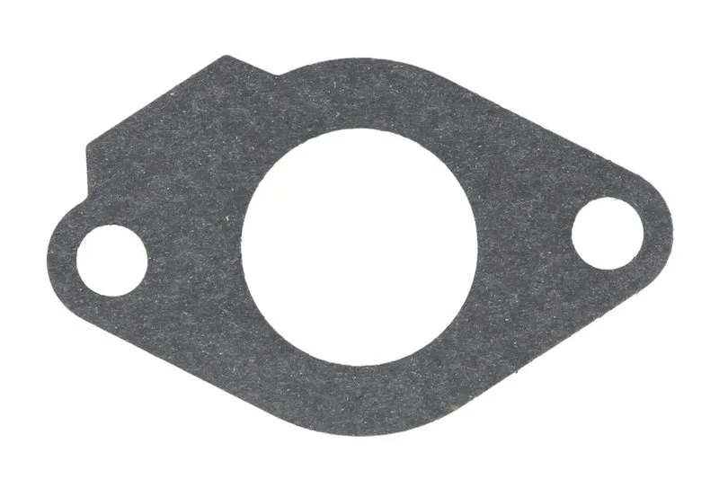 Garnitura bloc motor