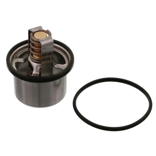 Termostat,lichid racire