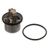 Termostat,lichid racire