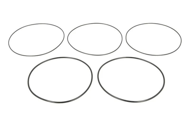 Set inele O camasa piston/cilindru