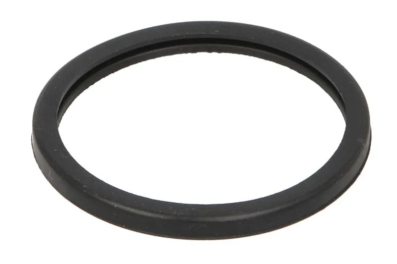 4823212 Garnitura termostat FPT