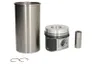 91260960 Set raparatii, piston/bucsa cursa cilindru KOLBENSCHMIDT