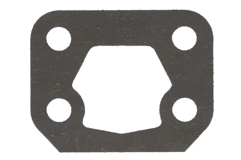 Garnitura bloc motor