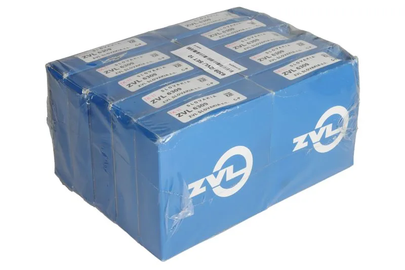 6309 SET 10 Rulment ZVL