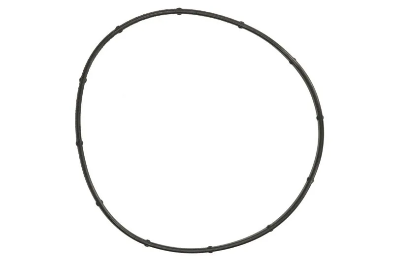 Garnitura, pompa de apa