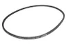 17.0X1625 Curea transmisie CONTITECH
