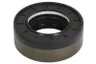 339883-CR Garnitura, diferential CARRARO