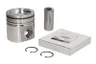 4955160 Piston FP DIESEL