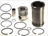 Set raparatii, piston/bucsa cursa cilindru