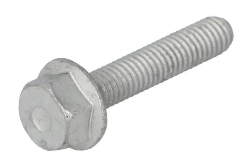 16586025 Surub chiulasa FPT