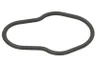 2830156 Garnitura, pompa combustibil FPT