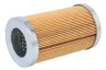 HY15009 Filtru, sistem hidraulic primar SF