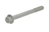 01149035 Surub chiulasa OE DEUTZ